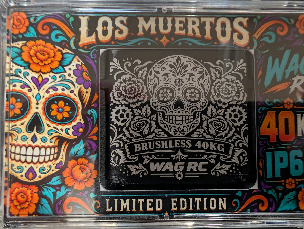 Servo 40Kg (45kg) sans-balais WP MG Édition spéciale Los Muertos (WSB-101S1)