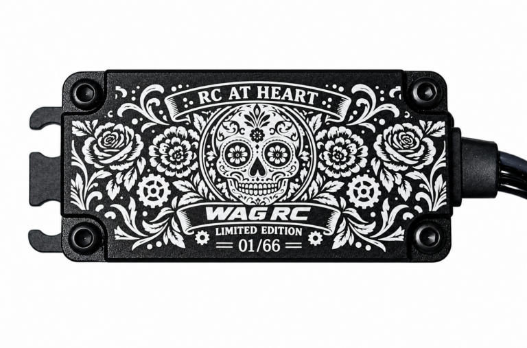 Servo 40Kg (45kg) sans-balais WP MG Édition spéciale Los Muertos (WSB-101S1)